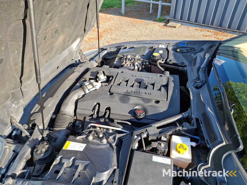 Jaguar - XK - 4.2 V8 Convertible - Car - 2008