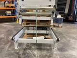 Thumbnail of Dematic - 2019 - Roller conveyor and pallet chain