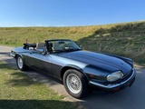 Miniaturansicht von Jaguar XJS 5.3 V12 Cabrio 1. Besitzer 1702