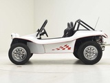 Thumbnail of VOLKSWAGEN APAL BUGGY