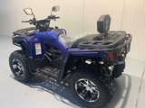 Miniaturansicht von DW ATV 300cc Quad