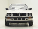 Minituur van BMW 316 E30