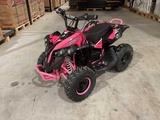 Minituur van 2025 Ultra Motocross MA07E ATX 1000 RZ Elektrische Quad