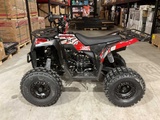 Minituur van 2025 Ultra Motocross Commander 125 ZW Quad