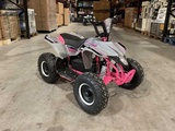 Minituur van 2025 Ultra Motocross MA05E RZ 1000W Quad