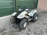 Miniaturansicht von Yamaha - Breezer - Quad