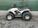Miniaturansicht von Yamaha - Breezer - Quad
