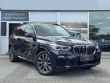 Minituur van BMW X5 xDrive45e High Executive 2020