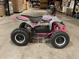 Minituur van 2025 Ultra Motocross MA05E RZ 1000W Quad