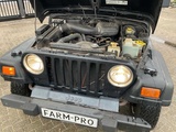 Minituur van 2001 Wrangler Jeep “4WD” cabrio