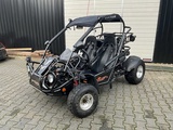 Minituur van 2008 PGO BR-250 D Buggy