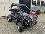 Minituur van 2008 PGO BR-250 D Buggy