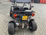 Minituur van 2008 PGO BR-250 D Buggy