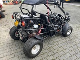 Minituur van 2008 PGO BR-250 D Buggy