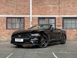 Miniaturansicht von Ford Mustang Ecoboost Cabriolet 290PS 2019