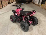 Minituur van 2025 Ultra Motocross MA07E ATX 1000 RZ Elektrische Quad