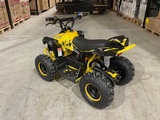 Minituur van 2025 Ultra Motocross MA07E ATX 1000 GE Elektrische Quad
