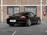 Minituur van Porsche Cayman S 987 3.4 295pk 2008 Youngtimer