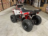 Minituur van 2025 Ultra Motocross Commander 110 RD Quad