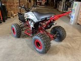 Minituur van 2025 Ultra Motocross Miniraptor125 ATX 125 Raptor ZW Quad