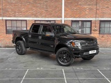 Minituur van Ford Raptor F150 6.2 V8 416pk 2011, 2-VNH-93