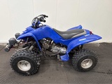 Minituur van Yamaha - Raptor 80 - Quad - 2003