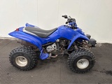 Minituur van Yamaha - Raptor 80 - Quad - 2003