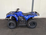 Minituur van Yamaha - Quad - 2010