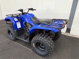 Minituur van Yamaha - Quad - 2010
