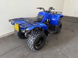 Minituur van Yamaha - Quad - 2010