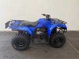 Minituur van Yamaha - Quad - 2010