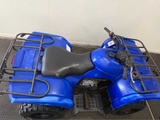 Minituur van Yamaha - Quad - 2010