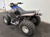 Minituur van Yamaha - Warrior 350 - Quad - 1998