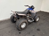 Minituur van Yamaha - Warrior 350 - Quad - 1998