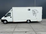 Miniaturansicht von Peugeot - Boxer - Pferdetransporter B Führerschein - Nutzfahrzeug - 2006