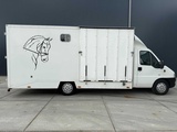 Miniaturansicht von Peugeot - Boxer - Pferdetransporter B Führerschein - Nutzfahrzeug - 2006