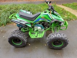Minituur van Quad 125cc Groen
