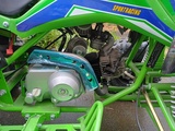 Minituur van Quad 125cc Groen