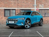 Miniaturansicht von Audi e-tron 55 Quattro -Edition One- Advanced 95 kWh 408PS 2019, G-753-XP
