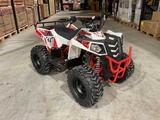 Minituur van 2025 Ultra Motocross Commander 110 RD Quad