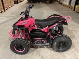 Minituur van 2025 Ultra Motocross MA07E ATX 1000 RZ Elektrische Quad