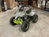 Minituur van 2025 Ultra Motocross MA05E GR 1000W Quad