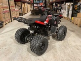 Minituur van 2025 Ultra Motocross Commander 125 ZW Quad