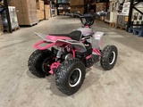 Minituur van 2025 Ultra Motocross MA05E RZ 1000W Quad