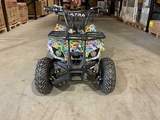 Minituur van 2025 Ultra Motocross MA06E ATX 1000 TR Met rekje Elektrische Quad