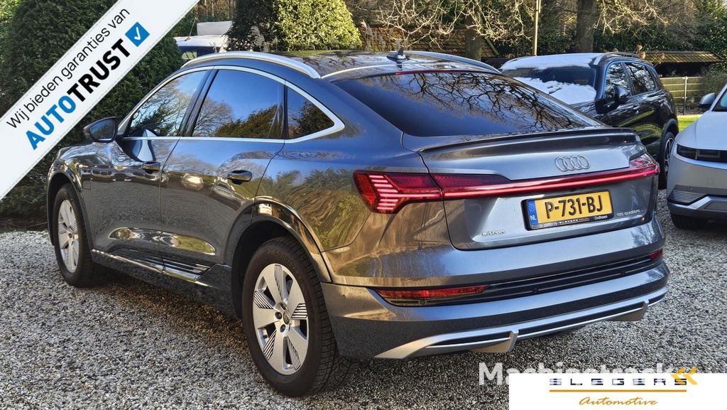 Audi e-tron Sportback 55 quattro Business edition 95 kWh  Met zomer 21 inch  en Wintervelgen 19 inch