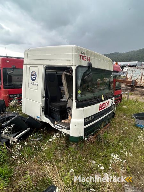 DAF XF105-460-Blanche