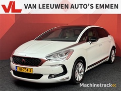 ds-ds-5-1.6-thp-business-executive